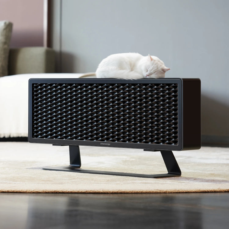 Ofen 2 black color variant with a white cat lying on top in a living room setting.