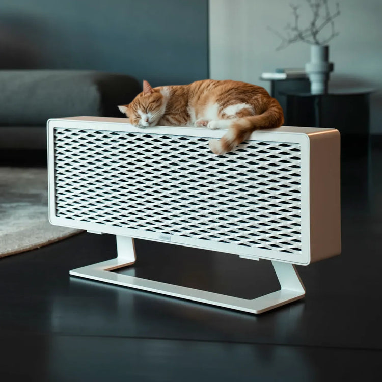 Ofen 2 – Katze liegt auf einem modernen weißen Ofen 2 im Wohnzimmer.